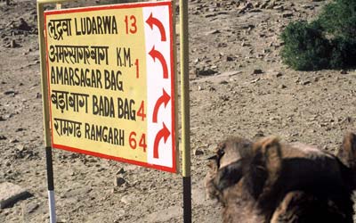 Photo of camel and mileage sign near Rajasthanr, India by Ron Veto