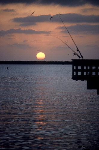 Silhouette photo of fishing pier in Venice by Ron Veto /></div>

<p style=